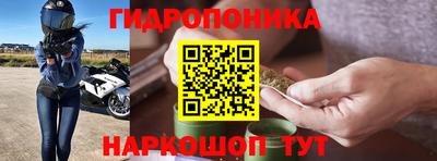 PSILOCYBIN Чапаевск