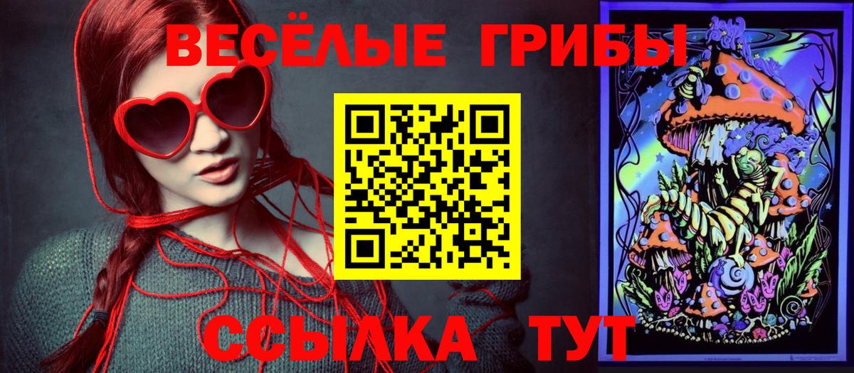 Псилоцибиновые грибы GOLDEN TEACHER Лесной