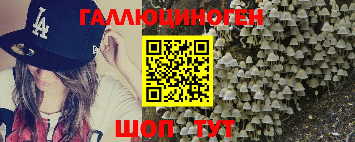 Псилоцибиновые грибы мицелий  Вход с VPN  Лесной 